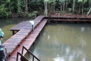 Rainforest River Swimming Deck