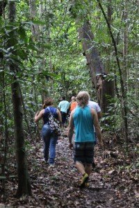 Big Tree Trails Hike