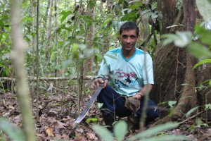 Crack Open A Brazil Nut