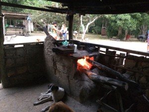 Rainforest property farm stove