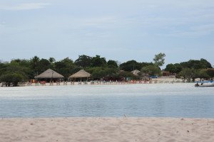 Amazon White Sand Beaches