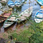 Day boats in Alter do Chao