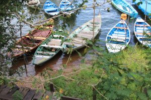 Day boats in Alter do Chao