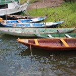 Picturesque Day Boats near Santarem