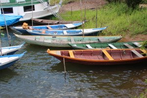 Picturesque Day Boats near Santarem