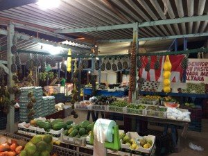 Neighborhood Market in Santarem